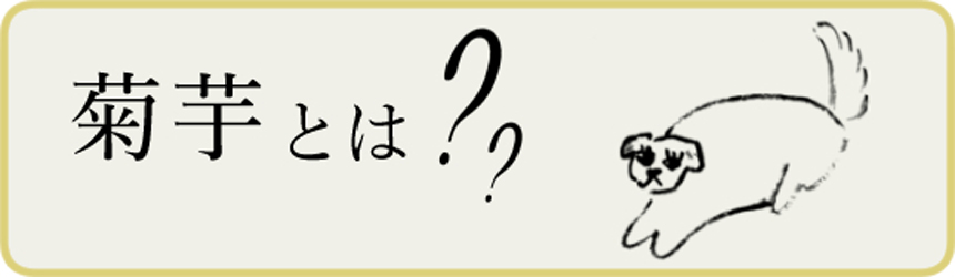菊芋とは